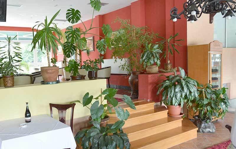 Motel Kneginja Čačak Extérieur photo